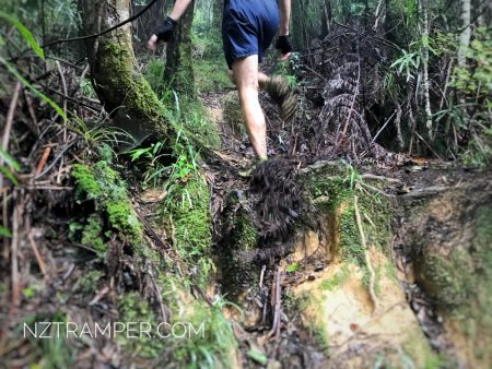 Trail Running – Upper Mangatawhiri Dam to Pukapuka Track Loop in Hunua