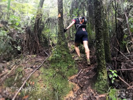 Trail Running – Upper Mangatawhiri Dam to Pukapuka Track Loop in Hunua