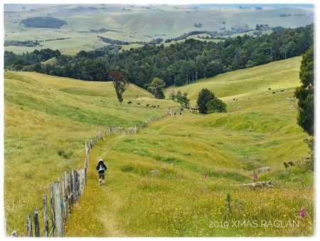 Trail running - Karioi track to Wairake Track in Raglan