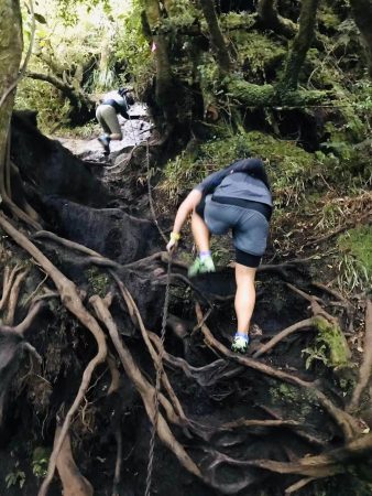 Trail running - Karioi track to Wairake Track in Raglan