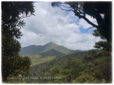 rail running - the last trail run in 2019