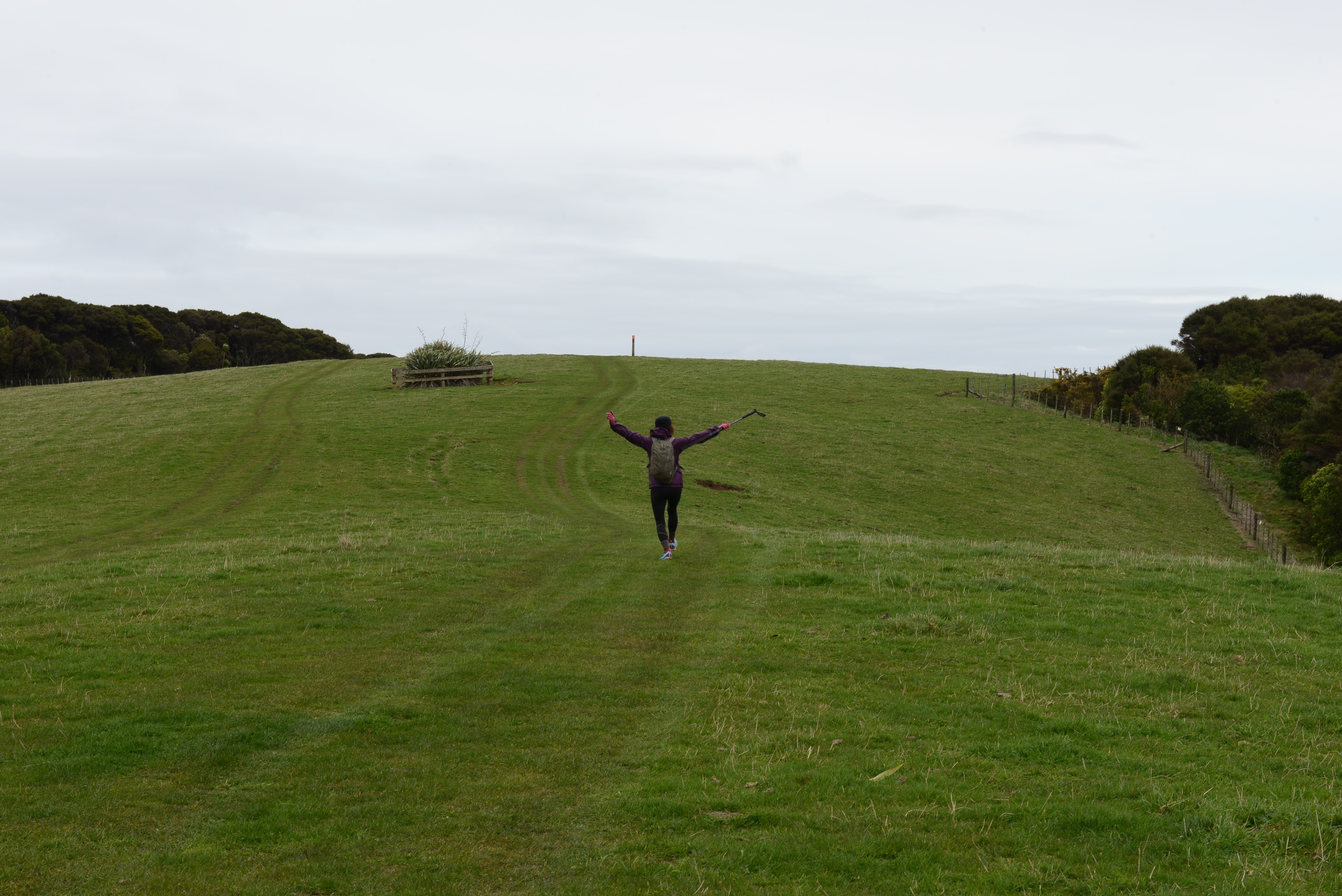 Pae O Te Rangi Farm Track, Waitakere, Auckland